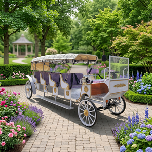 Chariot de princesse royal classique / Chariot de mariage Cendrillon / Voiture électrique de tourisme à grande autonomie à vendre - Product Image 1