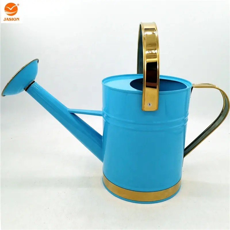 1 Gallon Blue Color Screwing Nozzle Golden Belt Kid Watering Can Metal Watering Can