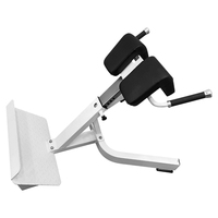 Équipement de gymnastique commercial en gros Extension du dos en acier Chaise romaine Machine Fitness Banc de gymnastique