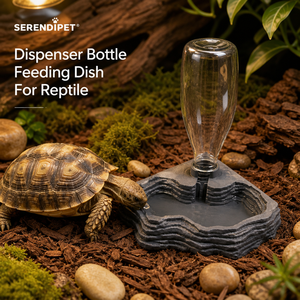Bebedero Automático para Reptiles, Dispensador de Agua para Dragones Barbudos, Terrarios, Tortugas, Geckos, Ranas, Accesorios de Alimentación para Mascotas - Product Image 4