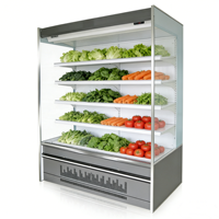 Réfrigérateur de présentation ouvert pour supermarché, équipement de réfrigération à température unique par refroidissement par air pour fruits et légumes