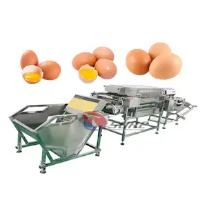 Liquid Egg Processing Line/Egg Washing Drying Breaking Production Line