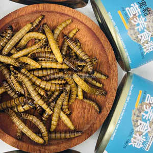 หนอนข้าวบาร์เลย์อบแห้ง: อาหารทดแทนที่สะอาดและปลอดภัยสำหรับสัตว์ - Product Image 5