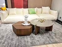 Table basse gigogne moderne de luxe en bois, meubles d'appoint pour salon, vente chaude, mobilier de thé pour la maison, 2 pièces
