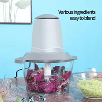 Hachoir Électrique Domestique 2L pour Légumes et Viandes, Mini Hachoir à Viande, Robot Culinaire Portable en Acier Inoxydable 300W