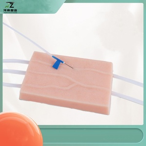 การฝึกอบรมพยาบาลสำหรับนักศึกษาแพทย์ - การฝึกฉีดยาด้วยแบบจำลองหลอดเลือด - การฝึกเจาะเสียบหลอดเลือดดำ - โมดูลผิวหนัง - Product Image 2