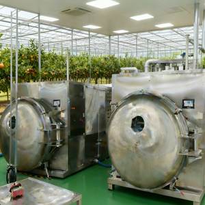 Máquina de Liofilización Continua, Sistema de Liofilización Industrial Automatizado - Product Image 1