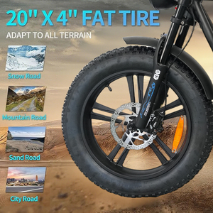Vente d'usine – Vélo électrique tout-terrain 500W avec grande roue de 20 pouces et moteur arrière – Vélos électriques Fat Bike - Product Image 3