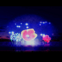 Charmante Outdoor Custom ized Laser Wasser Bildschirm Film 3D Hologramm Projektor Brunnen