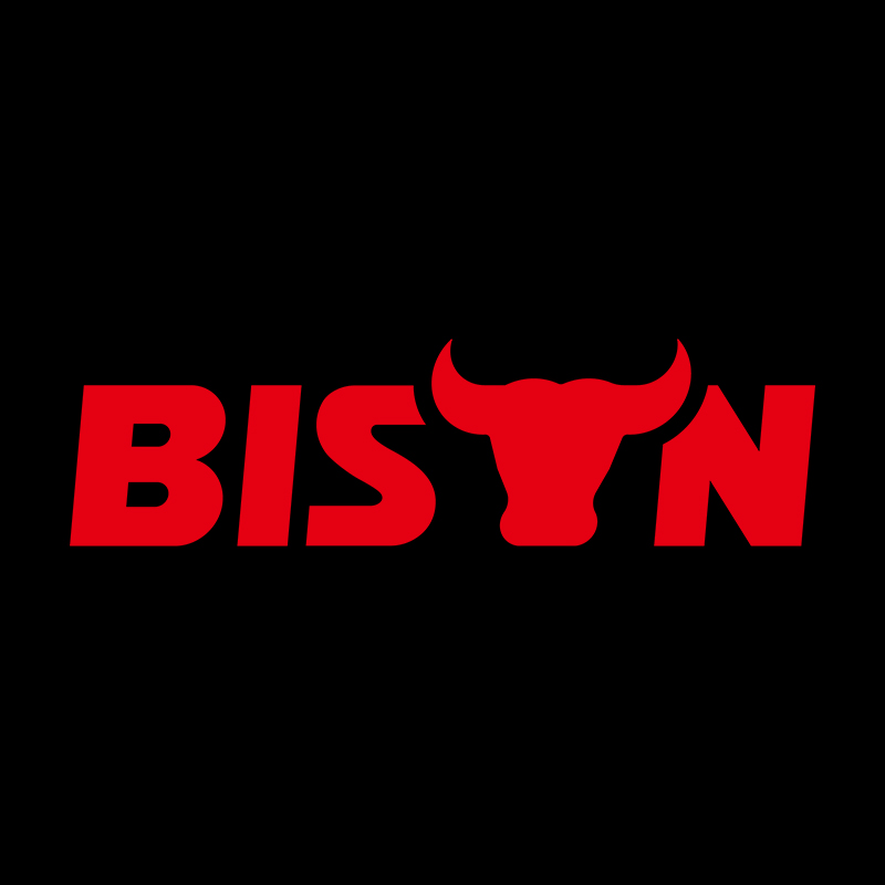 Taizhou Bison Network Technology Co., Ltd. logo