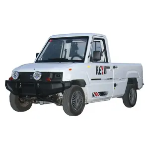 YANUO Factory manufacturing electric truck 4x4 mini pickup carros pickup truck new cars electric vehicle