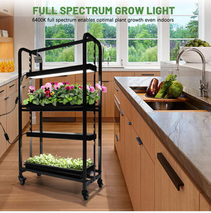Système de culture à 2 niveaux en fer pour jardin de cuisine, support de plantes à hauteur réglable pour micro-légumes, herbes et plantes succulentes - Product Image 3