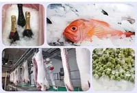 Machine à glaçons en flocons commerciale de 500 kg par jour, réfrigérateur à porte française