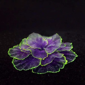 <span class=keywords><strong>Aquarium</strong></span> Kunstmatige Planten Gepersonaliseerde <span class=keywords><strong>Aquarium</strong></span> Decoraties - Product Image 1