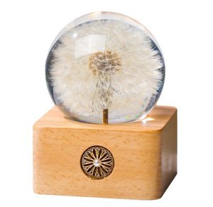 3D ha condotto la luce del dente di leone bianco caldo conservato fiore ricaricabile sfera di cristallo luce notturna su misura regalo di san valentino - Product Image 1
