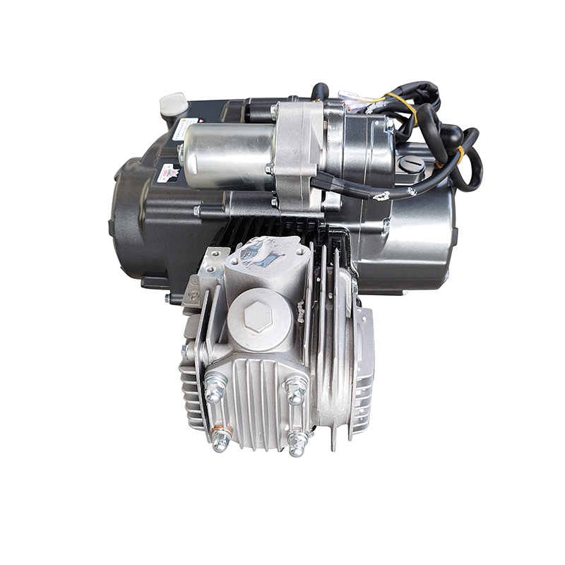 Zongshen 110CC Engine Z110, 4.7KW Single Cylinder, Electric/Kick