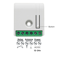 Module récepteur de relais sans fil 1 canal 433,92 MHz avec télécommande pour éclairage LED, moteur et portail (12V/24V DC)