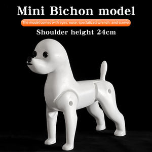 โมเดลจำลองสุนัขพันธุ์บิชองขนาดเล็ก สำหรับฝึกตัดแต่งขนและจัดแต่งทรง ต้องใช้ร่วมกับโมเดลโครงกระดูก - Product Image 2