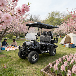Voiturette de golf électrique 4 places certifiée CE, batterie plomb-acide, longue autonomie, accessoires durables, vente directe usine, personnalisable 2026 - Product Image 1