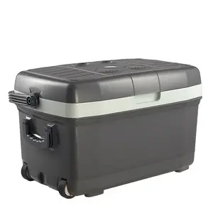 Commercio all'ingrosso frigo campeggio mini cooler dc frigorifero per auto elettrico campeggio frigo Cooler Box