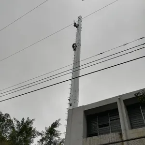 ラジオタワー工場亜鉛メッキ鋼モノポールマイクロ波アンテナ