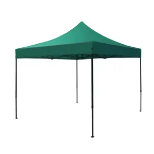 高品质10x10ft英尺广告天篷帐篷，带完整侧壁，用于野餐派对活动出售