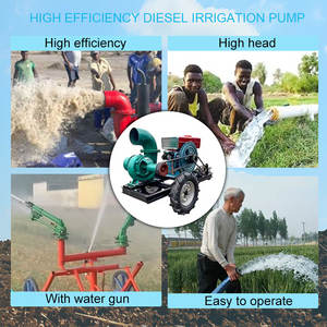 Pompe d'irrigation centrifuge Mobile Diesel, 41/50/61 <span class=keywords><strong>hp</strong></span>, pour armature de ferme - Product Image 3