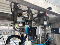 Hoge Snelheid Tracking Dubbele Hoofden Zuigerdosering Wasmiddel Zelfklevende Kwantitatieve Vulmachine