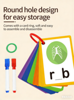 Cartes flash éducatives en papier écologiques personnalisées en gros pour enfants de 5 à 7 ans avec boîte cadeau