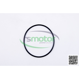 OEM O-seal MWM, producto de controladores de motor originales de la serie "MWM" - Product Image 6
