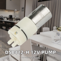 Pompa Air Diafragma DSB412-H DYX DC Motor untuk Pembersih Lantai Kering dan Basah, Pompa Semprot Kecil 12V OEM