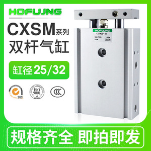 Guides linéaires bicylindriques miniatures CXSM25/TR32-10/15/20/30/35/40/45/50/60/70/75/100 - Product Image 5