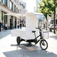 Tricycle électrique à trois roues pour adultes, avec pneus larges, plateau ouvert, pour la livraison d'épicerie