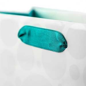 Manufacturer Coated Paper Ribbon Tie Gift Package Elegant Paper Bags for Presentations - Product Image 3