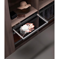 Accessoires de garde-robe de luxe légers avec rails coulissants, porte-pantalon, porte-chaussures, plateau à bijoux et panneau plat en verre, panier de rangement