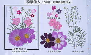 Pétales de fleurs séchées pour <span class=keywords><strong>ongles</strong></span>, 100 pièces, naturelles, pour bricolage, bougie, bijoux, pendentif artisanal, fabrication de décor artistique - Product Image 3