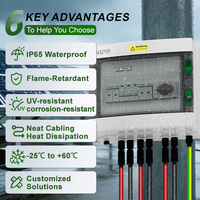 Boîtier de Combinaison Solaire DC CNLONQ 2 Entrées 1 Sortie DC1000V 32A IP65 pour Panneaux Solaires, Distribution d'Énergie Domestique, QS Intégré