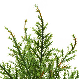 Árbol de Navidad Artificial de <span class=keywords><strong>Cedro</strong></span> y Pino Bonsái de 50 cm, Pequeño, Verde, para Decoración de Interiores, Tiendas, Hoteles, Bibliotecas y Centros de Mesa - Product Image 2