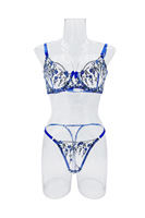 Nouvel ensemble de lingerie sexy en dentelle et résille, style haut de gamme, broderie florale, maille transparente, séduisant et sensuel