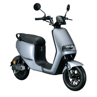 Trottinette électrique tout-terrain pour adultes, fabriquée en Chine, avec certification EEC COC, 48V 21AH 500W, moteur sans balais, cadre en alliage d'aluminium, batterie amovible, étanche IP54