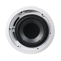 Système de son surround 5.1, amplificateur multizones avec haut-parleurs de plafond 2 voies haute performance, conçu pour une installation facile