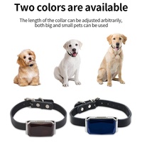 QZT étanche Pet Gps Tracker chien chat Animal Gps dispositif de suivi avec application mobile gratuite