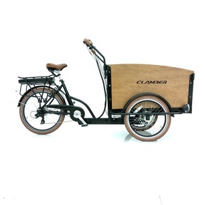 Triciclo Elettrico da Carico a Tre Ruote con Motore al Mozzo Posteriore e Batteria da 36V, Disponibile in Polonia, Bici Cargo Elettrica dal Magazzino Europeo - Product Image 6