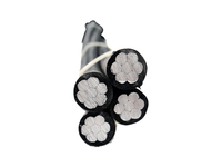 Cable Aéreo Trenzado de 2 Hilos de 16mm2 y 25mm2 con Aislamiento XLPE, Cable ABC de Aluminio Tríplex para Central Eléctrica y Electrodomésticos, 16A