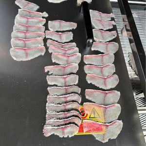 工厂直销鲜肉切片机 全自动鱼肉切片机，适用于餐厅、酒店和肉类加工厂 - Product Image 4