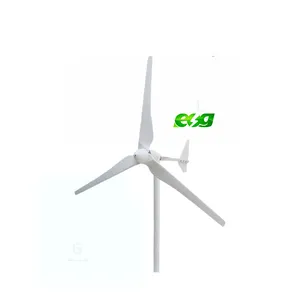 ESG Factory High Quality Flower Vertical Types Roof Miniature Type S S4 300W Electric Generator Wind Turbine