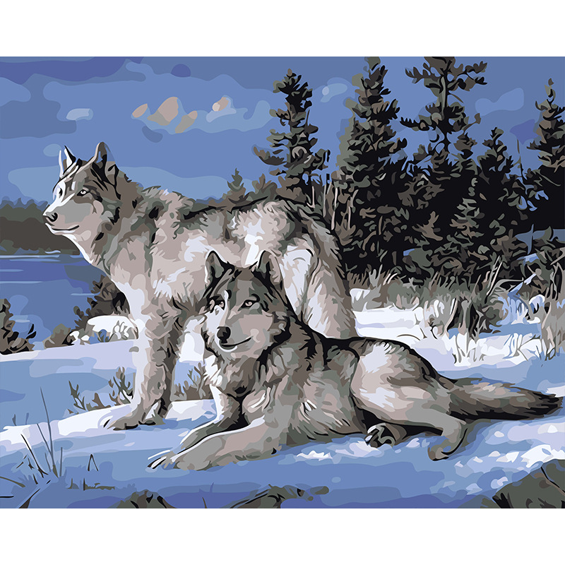 YC2247snow loup. jpg