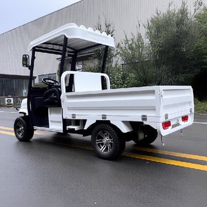 Nouvelle Voiturette de <span class=keywords><strong>Golf</strong></span> Électrique Tout-Terrain <span class=keywords><strong>Mini</strong></span> 4 Roues 2026, Biplace Multifonctionnelle, Pare-Soleil Partiel, Batterie 60V, Capacité de Chargement. - Product Image 4
