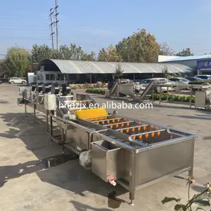 DZJX Industrial Automatic Fresh Fruit And Green Vegetable Washing Equipment Air Bubble Cleaner Spinach Cleaning Machine