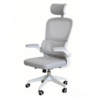 Chaise de bureau écologique, mobilier, vente chaude, chaise de bureau informatique, 2025, belle, meilleure chaise de bureau pour le confort, ergonomique